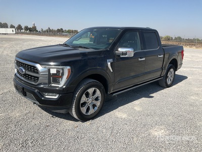 2021 Ford F-150 Camioneta / Pickup