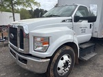 General Appearance with Paint