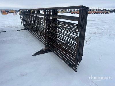 Quantity of (10) 24ft Recinto per bestiame