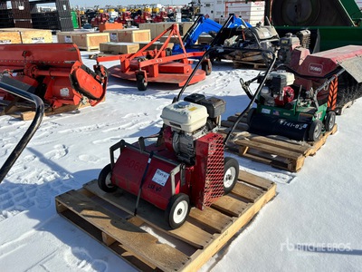 20 in Lawn Dethatcher