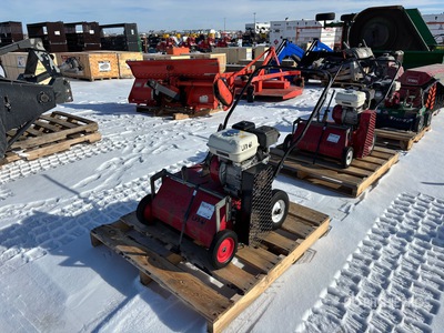 20 in Lawn Dethatcher