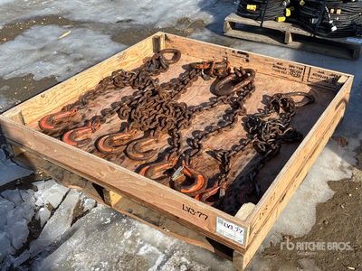 Quantity of Chain Sling