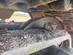 Undercarriage with Right Idler