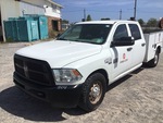 General Appearance with Paint