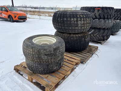 Quantity of (4) Galaxy Pneumatici