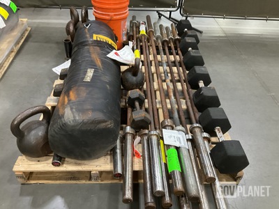 Lot of Assorted Gym & Exercise Equipment