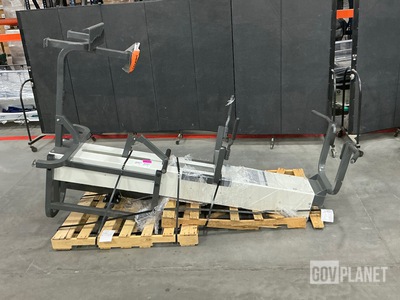 Cybex Assisted Chin-up/Dip Machine