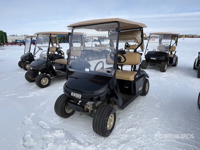 2014 E-Z-Go Electric Golf Cart