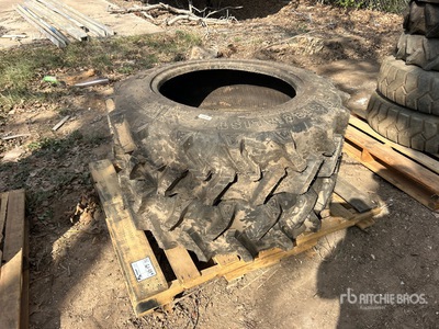 Quantity of (2) 11.2-24 Pneumatici (Unused)