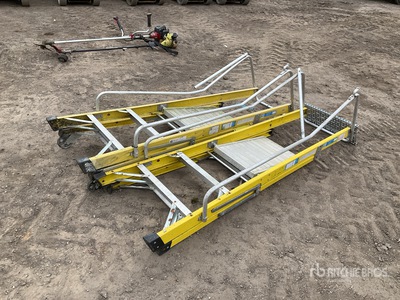 Quantity of (2) Ladder