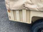 General Appearance with Paint