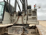 General Appearance with Paint