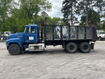General Appearance with Paint
