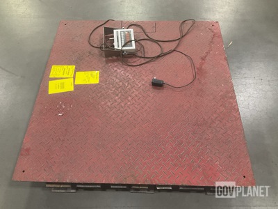 Triner TS-700 Series Floor Scale