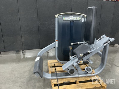 Matrix Calf Extension Machine