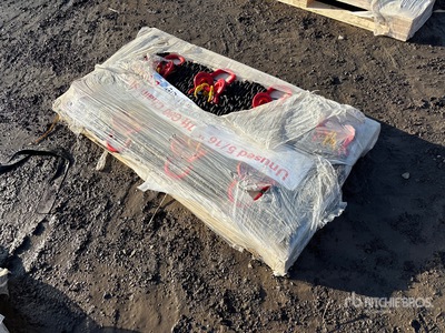 Quantity of (8) Greatbear Double Leg Lifting Chain Sling (Unused)