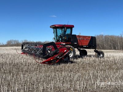 2010 Case IH WD1203 30 ft Swather Schwadleger