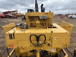 General Appearance with Paint