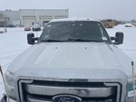 General Appearance with Paint
