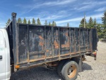 General Appearance with Paint