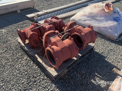 Quantity of 6 in & 8 in Gate Valves