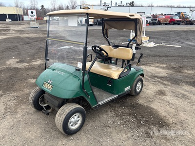 2013 E-Z-Go TXT48V Electric Golfwagentje