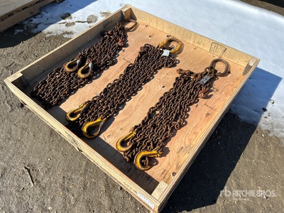 Quantity of (3) Chain Fascia per sollevamento