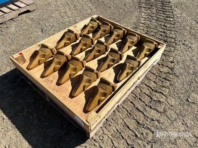 Quantity of (15) Bucket Dente (Unused)