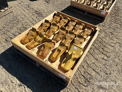 Quantity of (15) Bucket Dente (Unused)