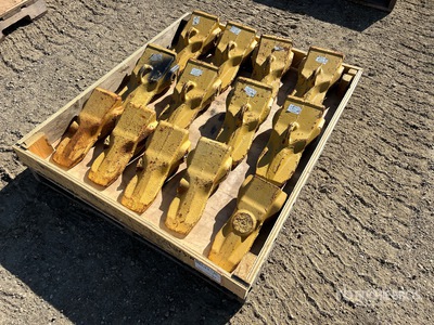 Quantity of (13) Bucket Dente (Unused)