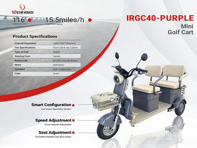 2026 SDGRAND IRGC40-PURPLE 3 TT E-Trike Mini Scooter (Unused)