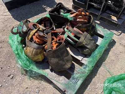 Quantity of (10) Chain Construction Hoist