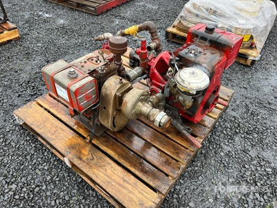 Quantity of (2) Skid-Mounted Water Pump