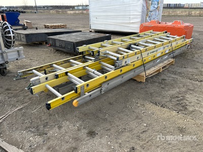 Quantity of (6) Ladder