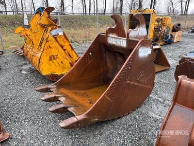 Cat 42 in Digging Excavator Bucket