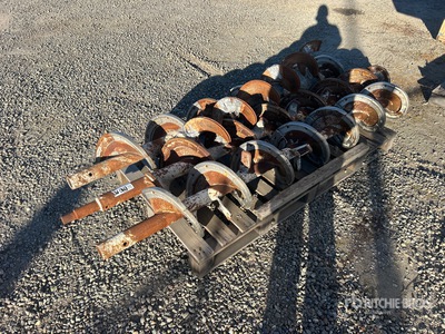 Quantity of 12 in オーガービット