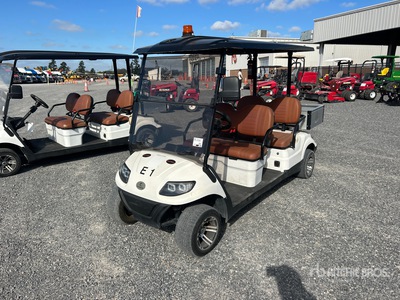 2022 ICON C40FS Electric Golf Cart