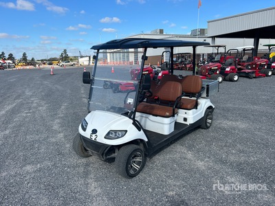 2022 ICON C40FS Electric Golf Cart