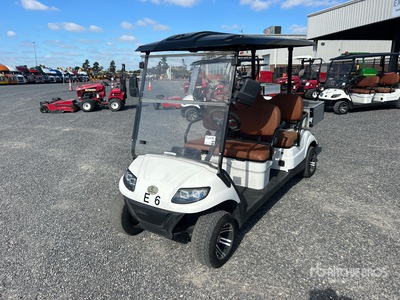 2022 ICON C40FS Electric Golf Cart