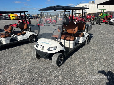 2022 ICON C40FS Electric Golf Cart
