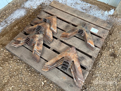 Quantity of (20) 19 in Cultivator Shovels Parti varie