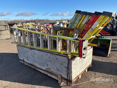 Quantity of (10) Ladder