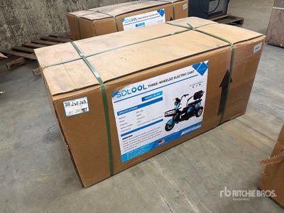 2026 SDLOOL SL-D3 Electric tricycle (Unused)