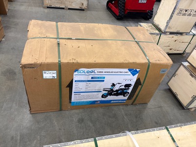 2026 SDLOOL SL-D3 Electric tricycle (Unused)