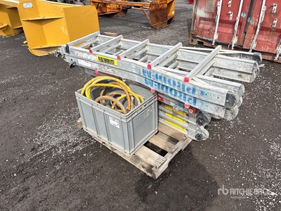 Quantity of (3) Ladder