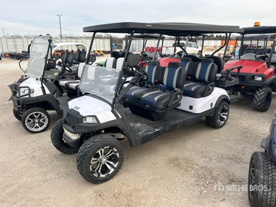 2023 Lion Electric عربة الجولف