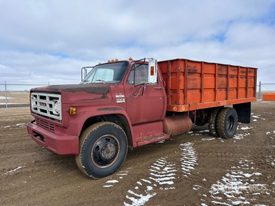 1976 GMC Sierra 6000 4x2 شاحنة حبوب