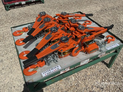2026 Qty of Lever Block Hook Block (Unused)