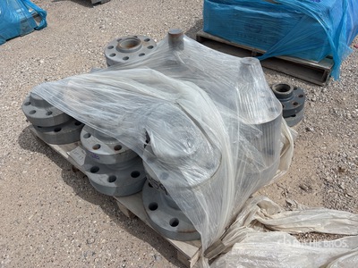 Quantity of Companion Flanges