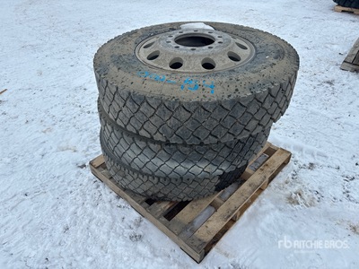 11R24.5 Roadx Neumáticos